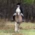 Oak Grove Hunt Opening Meet